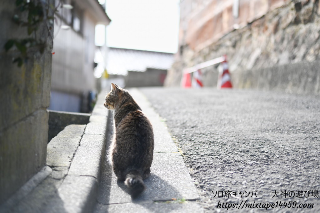 猫島