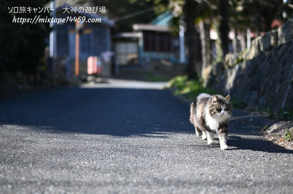 猫島