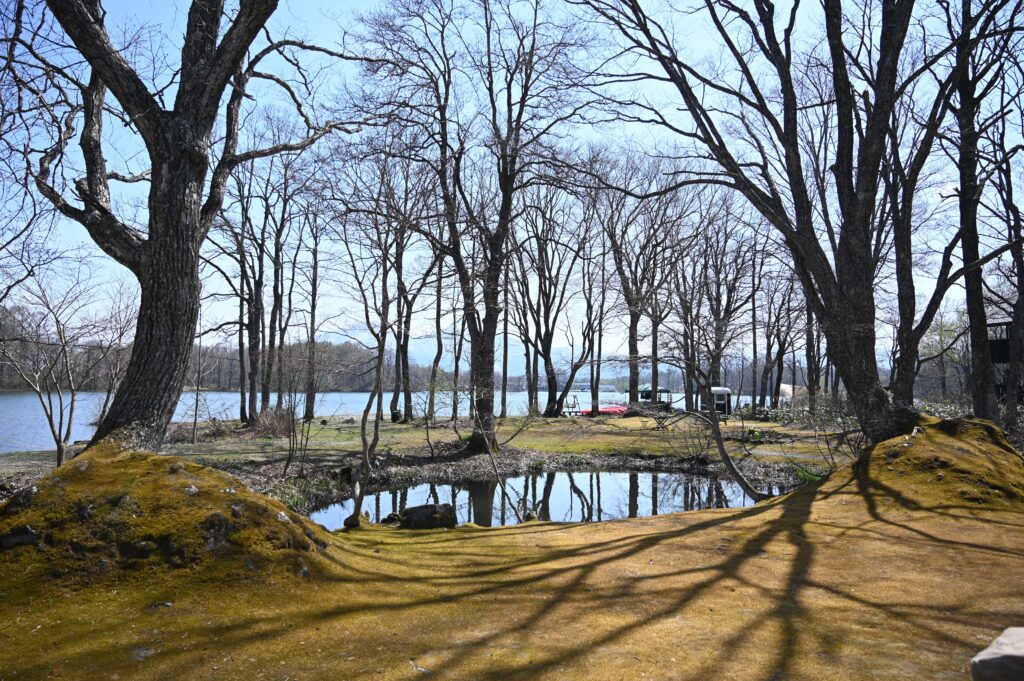 キャンプ場の風景