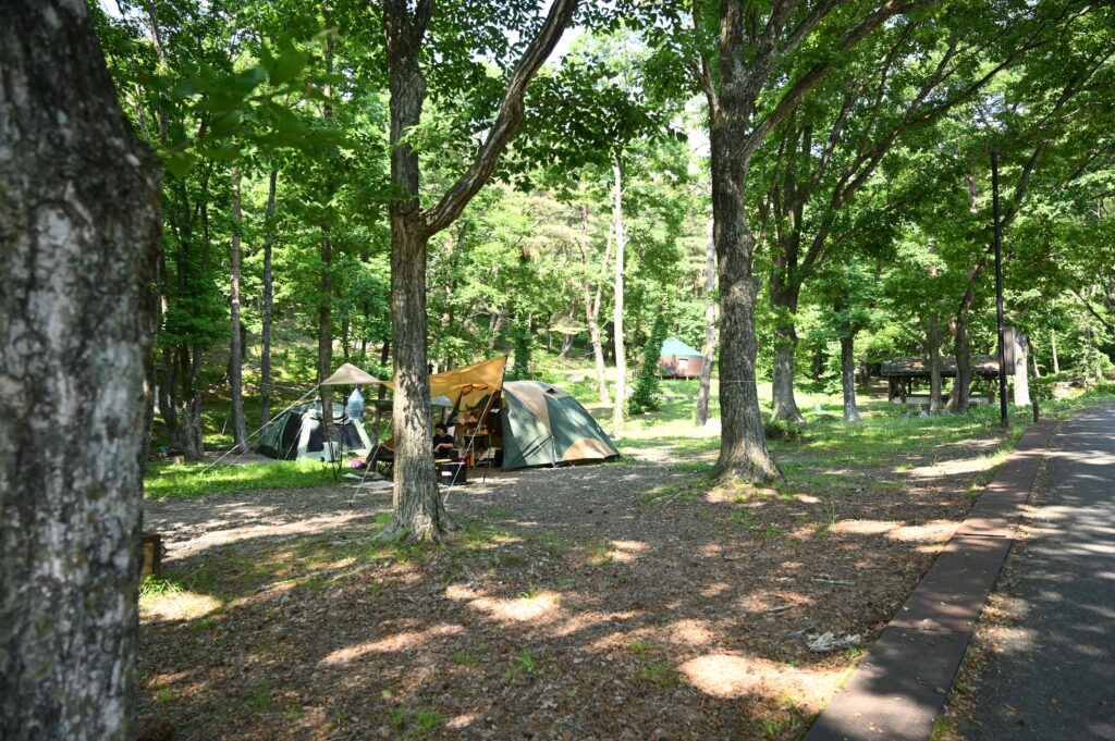 キャンプ場の風景