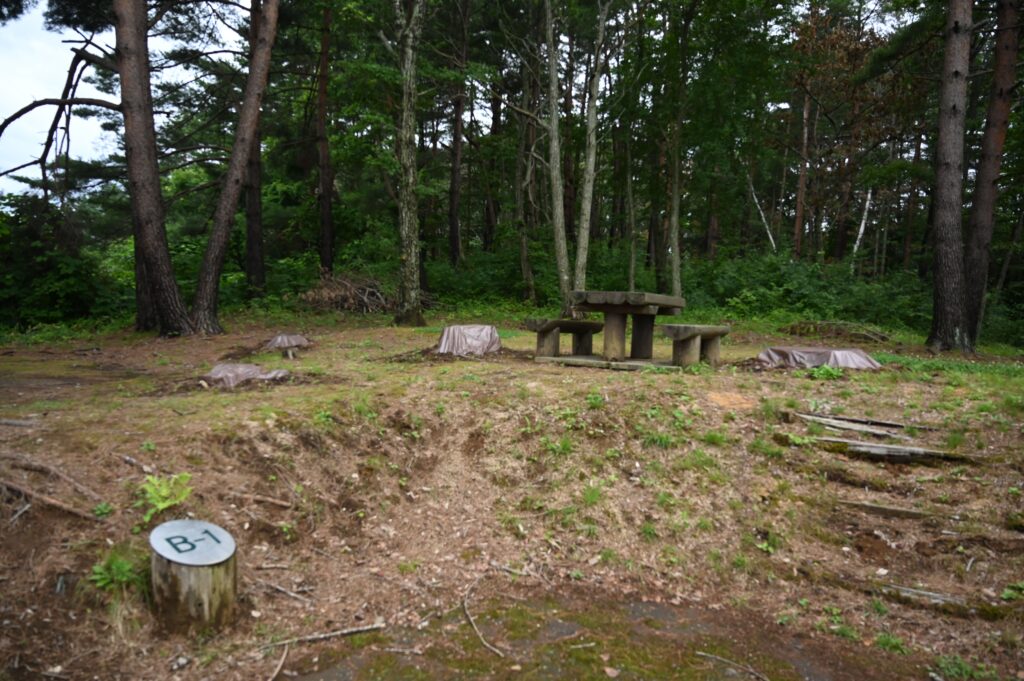 黒崎オートキャンプ場