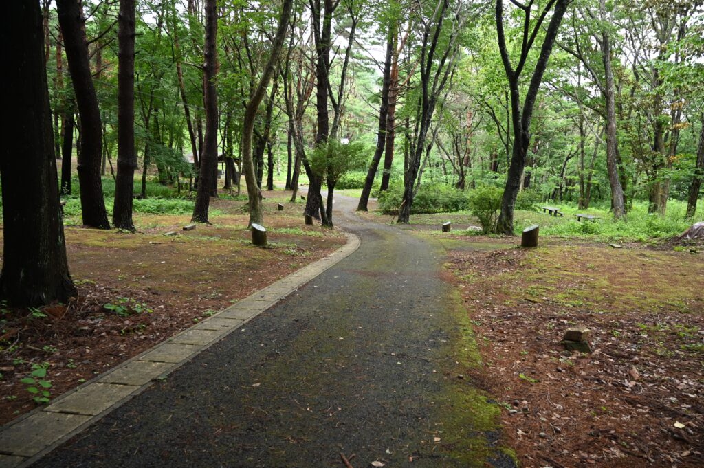 黒崎オートキャンプ場